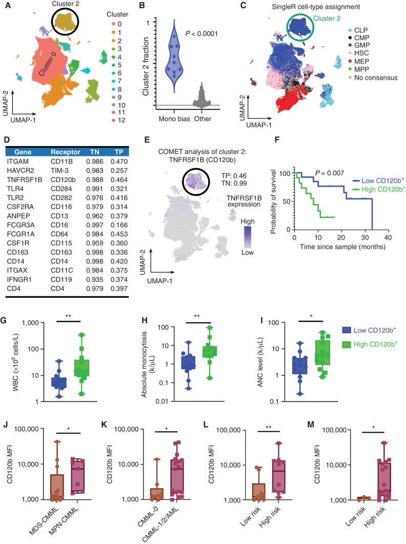 Figure 3. Monocytic-biased CMML is associated with the expansion of an inflammatory GMP-like HSPC population. A, Graph-based clustering of the CD34+ cohort identified 13 distinct clusters across the 201,250 single cells. B, Samples in the monocytic-biased group were enriched in Clus2. C, SingleR was used to determine cell-type assignment using previously published paired references of bulk RNA-seq of flow cytometry–sorted cells. Clus2 was enriched for GMP cell-type assignment. D, COMET was used to identify differential gene-expression markers well-suited for validation with flow cytometry, and the top-ranked markers had an average log base 2-fold change of 4.50 in the single genes from Clus2 compared with the rest of the cells, average true positive rate of 36.7%, and average true negative rate of 98.0%. E, COMET identified TNFRSF1B (encoded cell-surface marker CD120b) as the best single marker for identifying Clus2 cells with a true positive performance of 46% and true negative performance of 99%. F, The predictive power of CD120b was validated in the complementary flow cytometry data set, where individuals with high CD120+ expression had inferior survival (n = 26; log-rank P = 0.007). Clinicopathologic variables were compared in CD120+ high vs. low patients and individuals with CD120+ high expression had (G) increased white blood cell (WBC) counts (P = 0.007), (H) increased absolute monocytosis (P = 0.004), and (I) increased absolute neutrophil count (ANC; P: 0.04). Patients with high CD120b GMPs were (J) myeloproliferative (P = 0.04), (K) associated with disease progression (P = 0.02), and (L) were categorized as high risk per MDACC (P = 0.005) and (M) Mayo prognostic scoring systems (P = 0.03), n = 26 patient cases. Nonparametric Mann–Whitney tests were used to compare two group data. P value significance represented by *, < 0.05; **, < 0.01; ***, < 0.001.