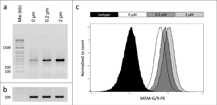 Fig. 6