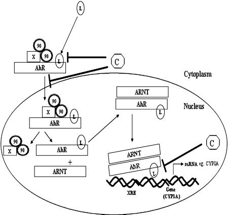 Fig. 2