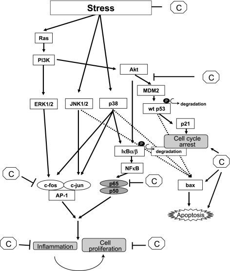 Fig. 4