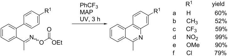 Scheme 5