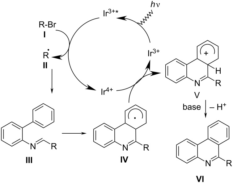 Scheme 8