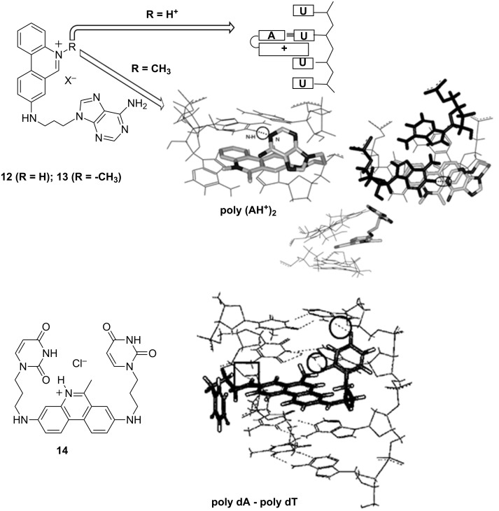 Scheme 23