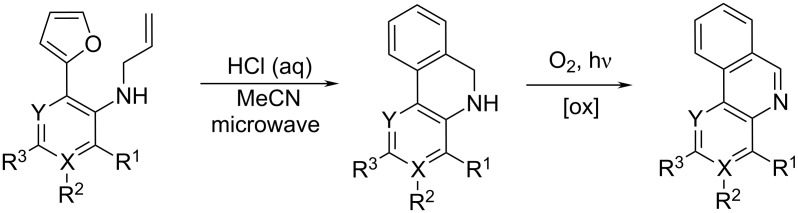 Scheme 9