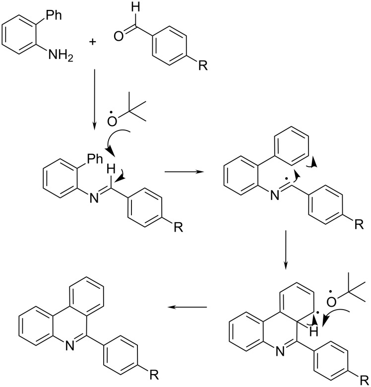 Scheme 3