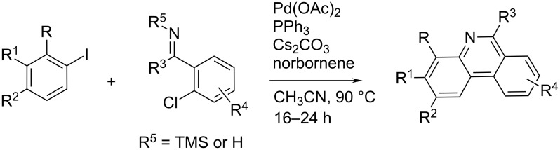 Scheme 13