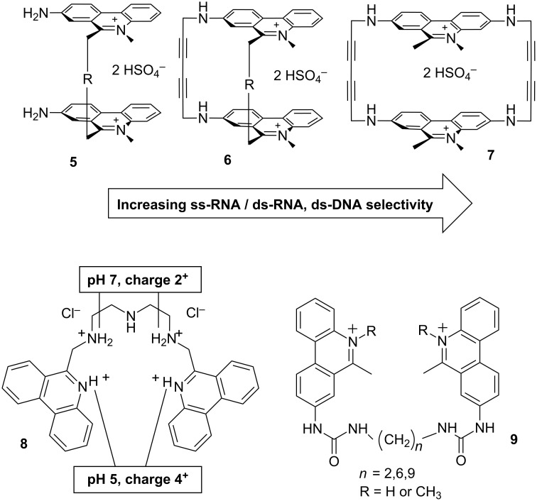 Scheme 22