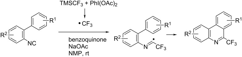 Scheme 6