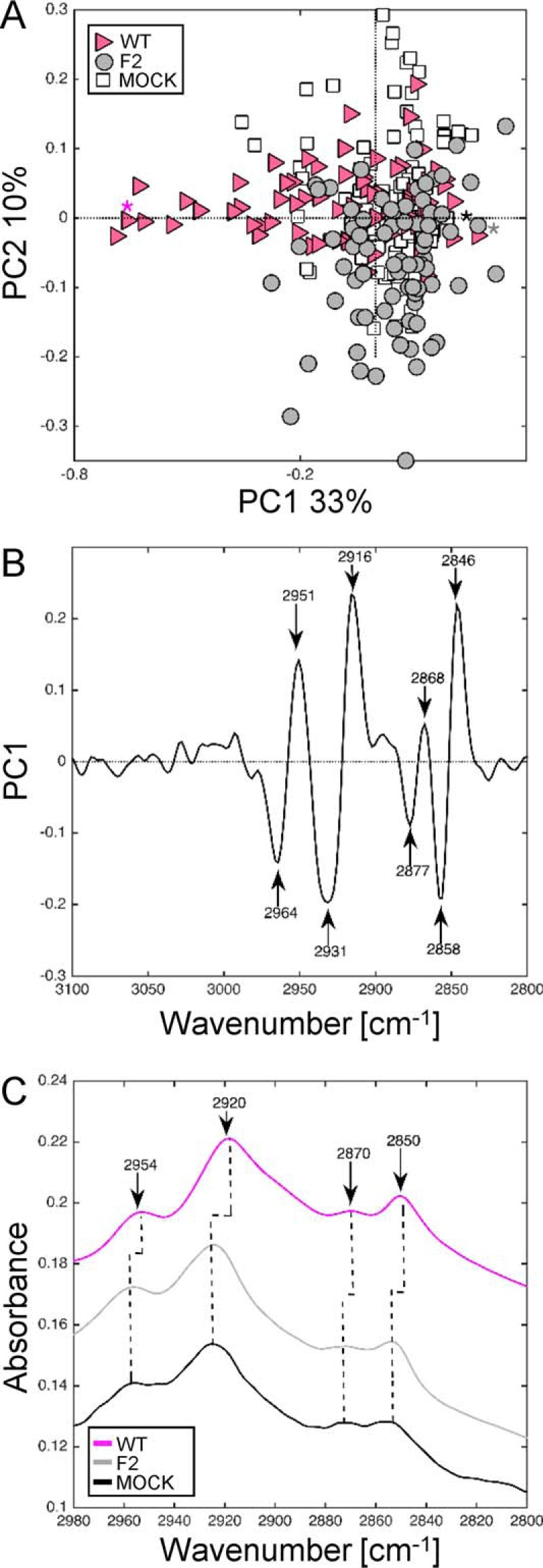 FIGURE 8.