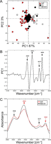 FIGURE 9.
