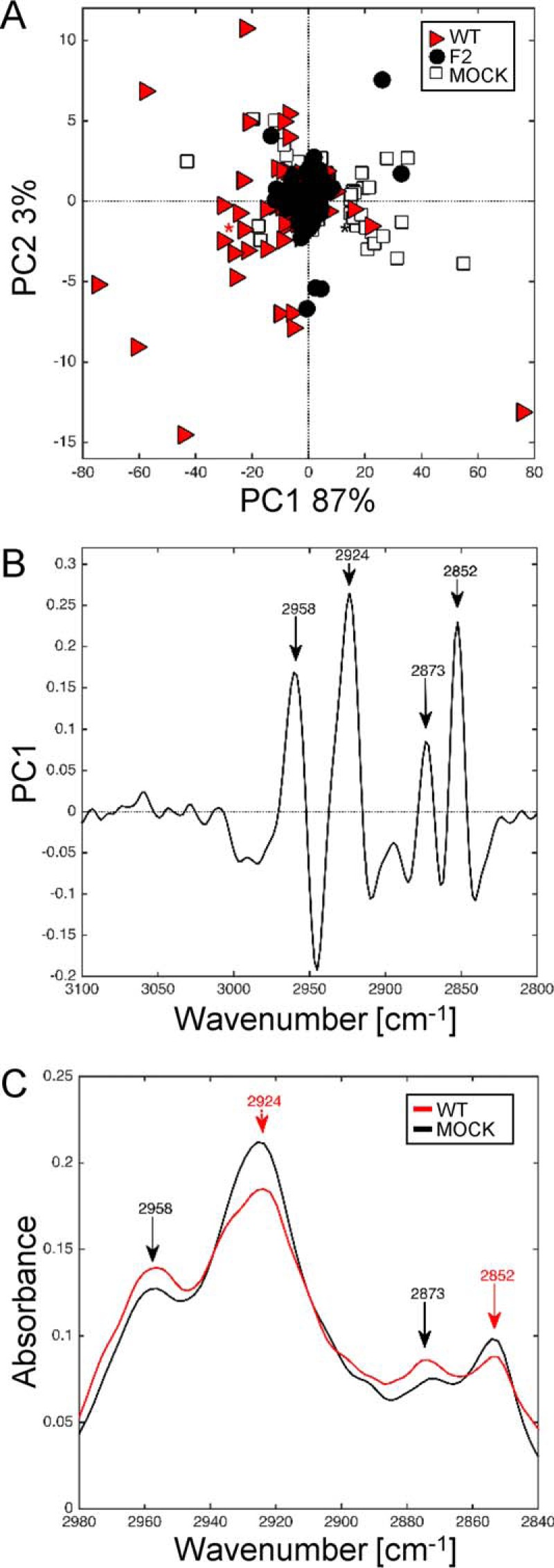 FIGURE 9.