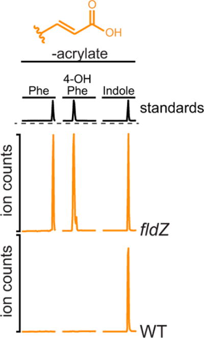 Extended Data Figure 6