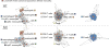 Extended Data Figure 9