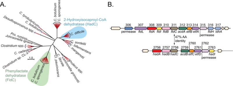 Extended Data Figure 1