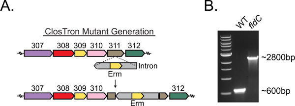 Extended Data Figure 2