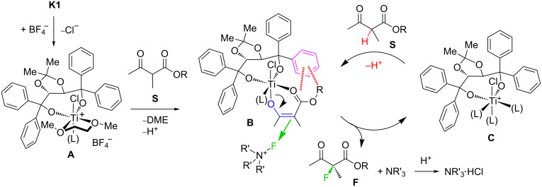 Scheme 7