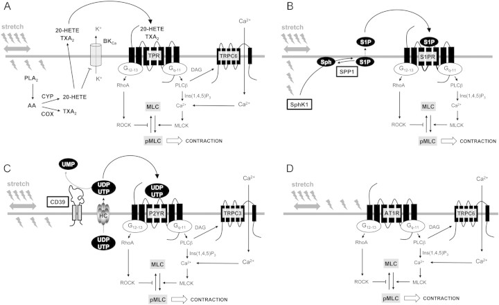 Figure 2