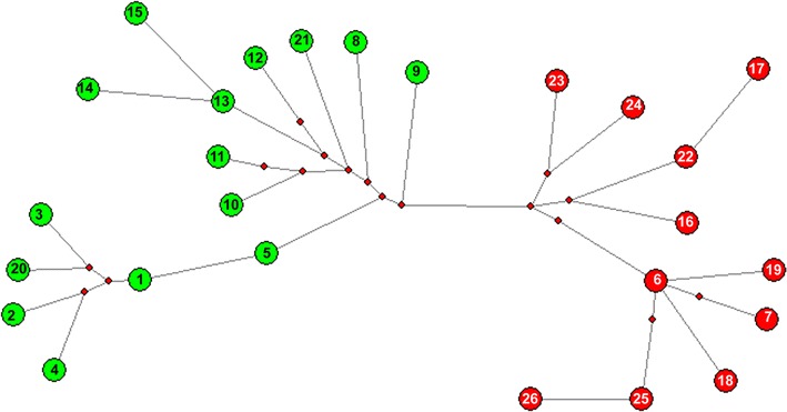 Fig. 2