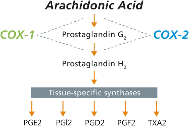 Figure 1