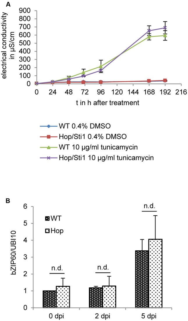 FIGURE 10