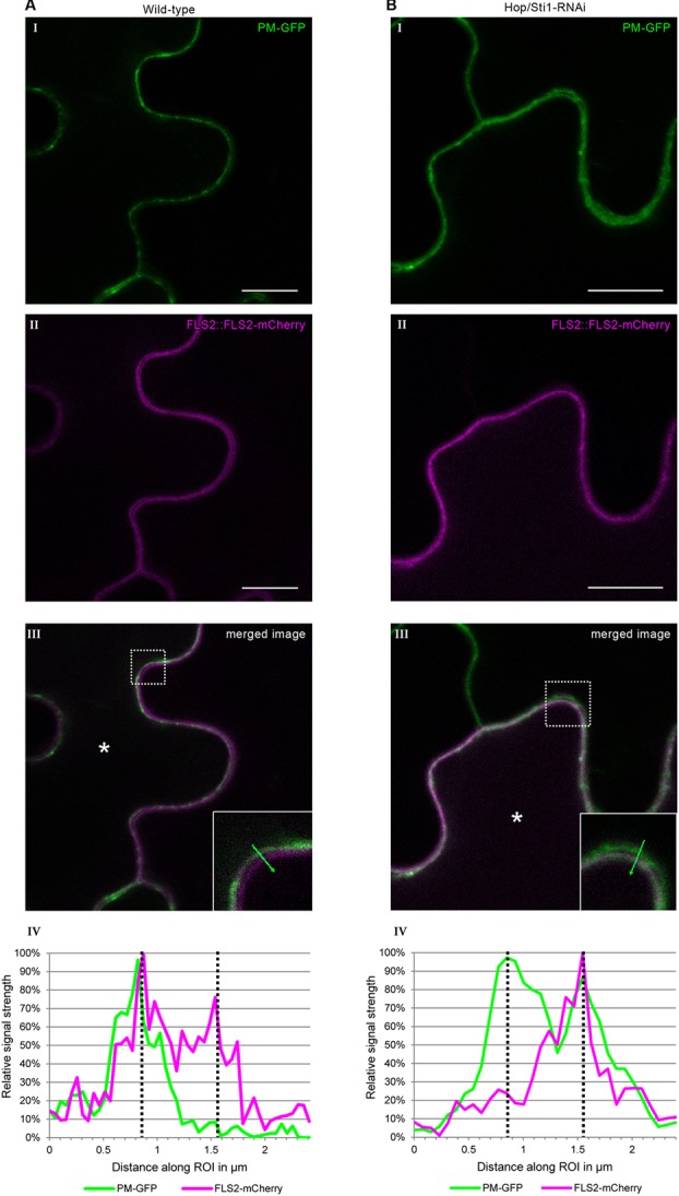 FIGURE 3