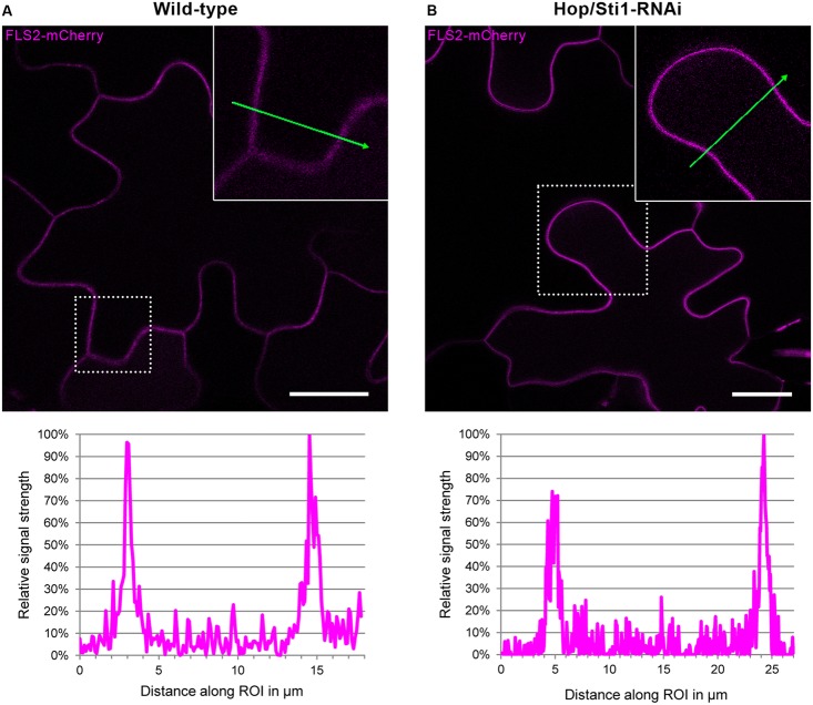 FIGURE 4