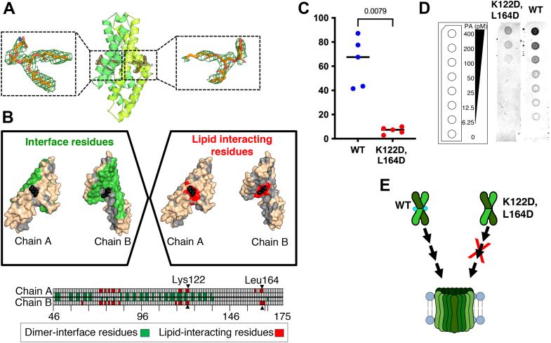 Figure 4