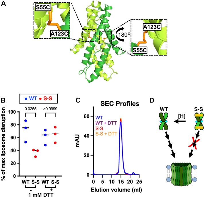 Figure 1