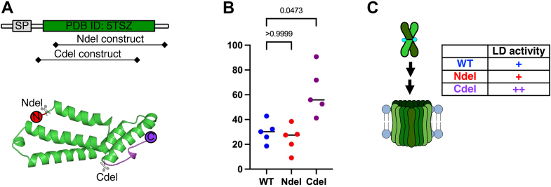 Figure 3