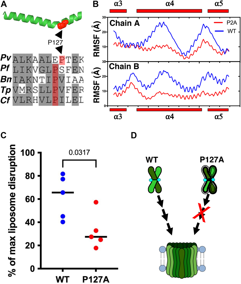 Figure 2