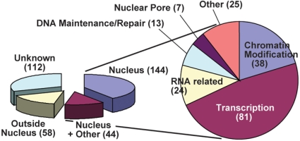 graphic file with name pnas.1004181107fig5.jpg