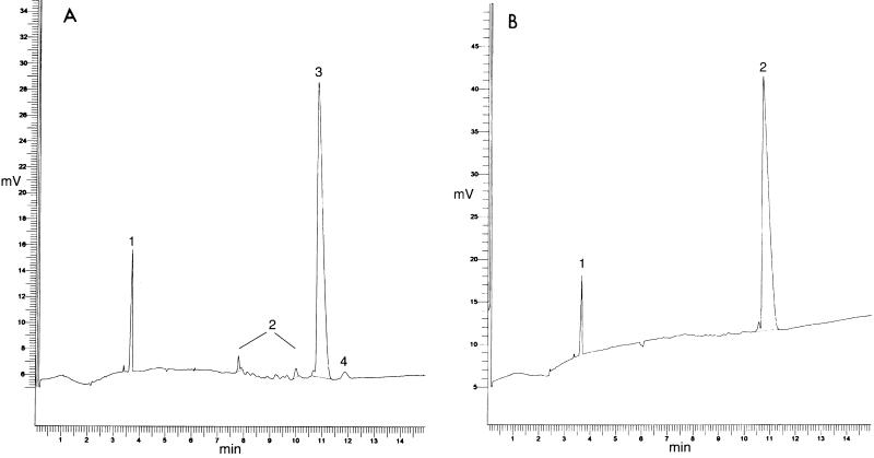 FIG. 7