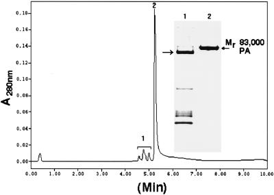 FIG. 8