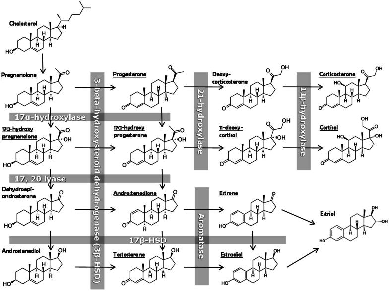 Fig. 5