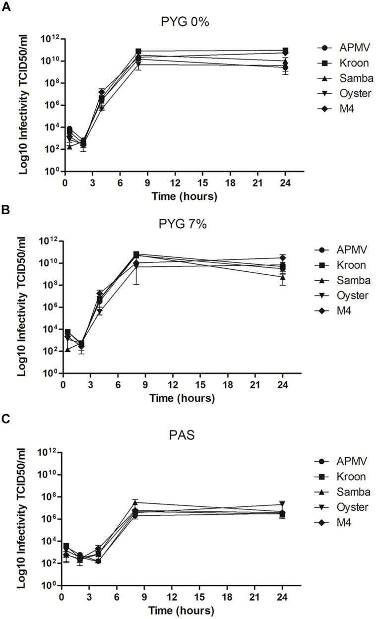 FIGURE 4