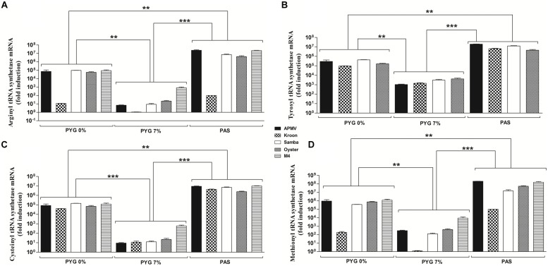 FIGURE 3