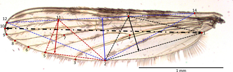 Fig. 1