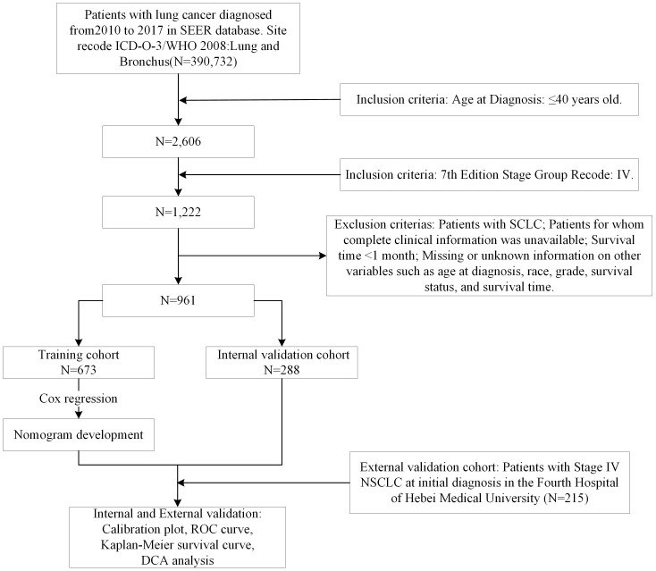 Figure 1
