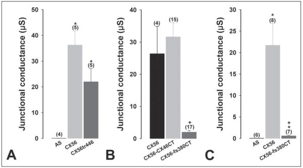 FIGURE 3