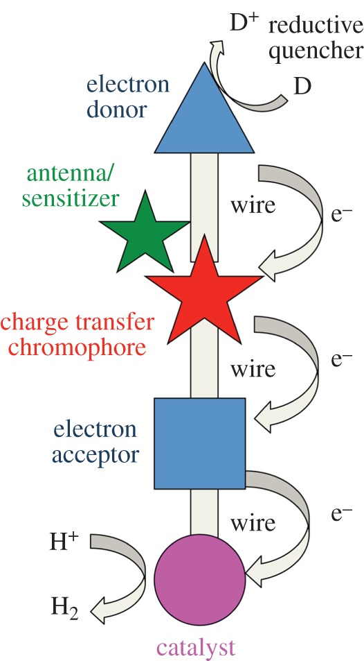 Figure 1.