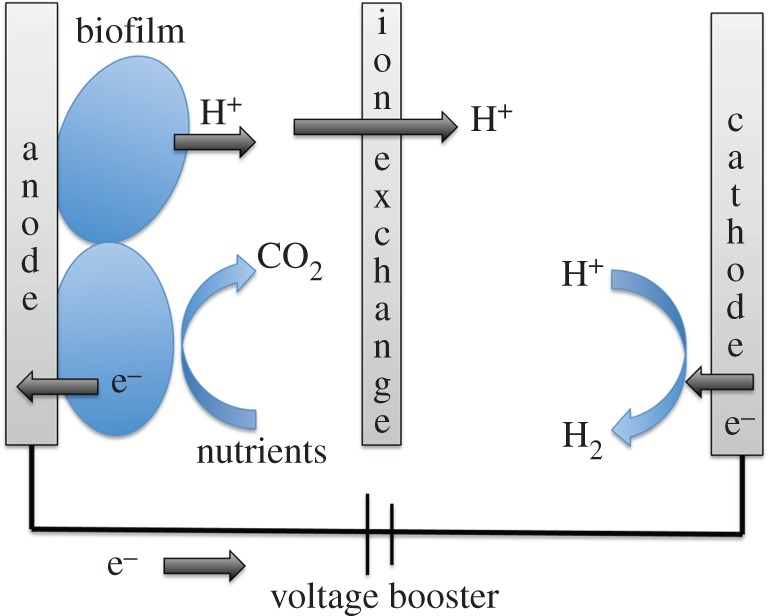 Figure 6.