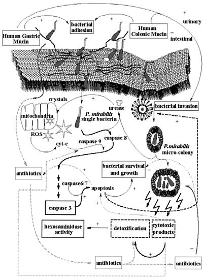 FIG. 7.