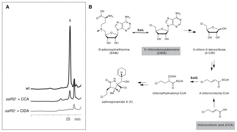 Fig. 4