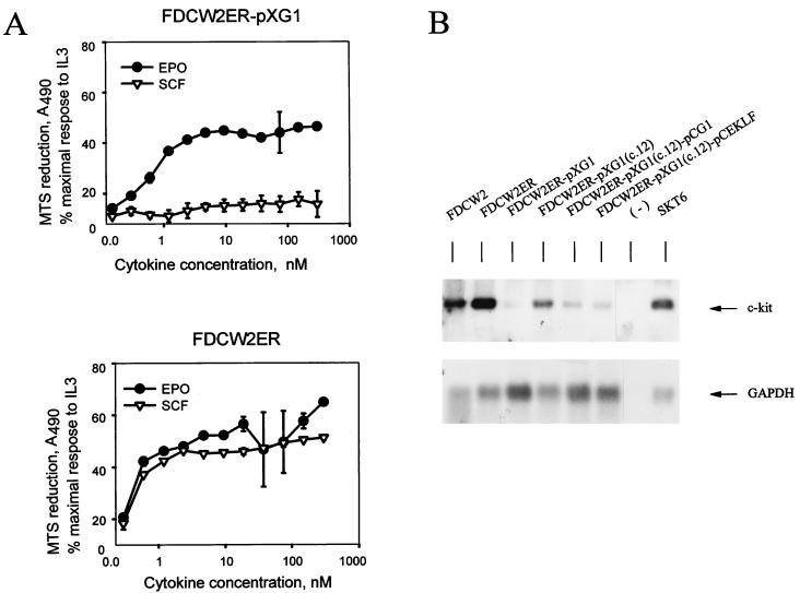 FIG. 6