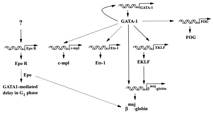 FIG. 11