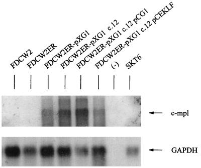 FIG. 10