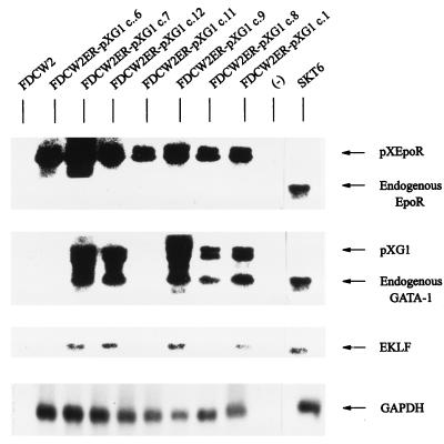 FIG. 8