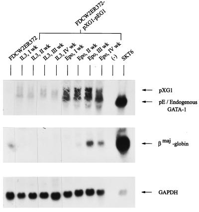 FIG. 9