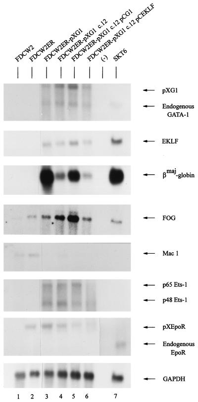 FIG. 7