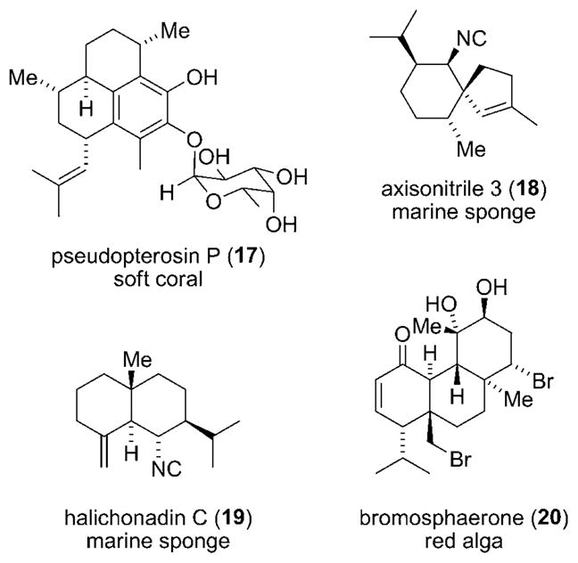 Scheme 5